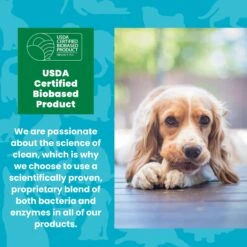 Unique Pet Care Fresh Rain Dog Odor + Stain Remover, 24-oz Bottle -PetSafe Shop Sale 232911 PT6. AC SS1800 V1700689730