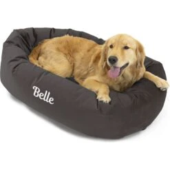 Majestic Pet Velvet Personalized Bagel Cat & Dog Bed 10 Majestic Pet Velvet Personalized Bagel Cat & Dog Bed -PetSafe Shop Sale 234693 PT4. AC SS1800 V1633964354