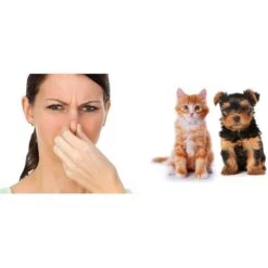 Room Shocker Quick Release Odor Eliminating Vapor -PetSafe Shop Sale 235803 PT2. AC SS1800 V1589835658