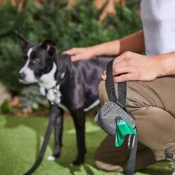 Frisco Dog Poop Bags With Fabric Dispenser -PetSafe Shop Sale 236998 PT6. AC SS1800 V1610772967