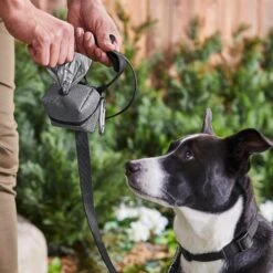 Frisco Large Size Dog Poop Bags With Fabric Dispenser -PetSafe Shop Sale 237013 PT6. AC SS1800 V1610762789