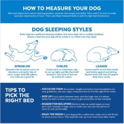 Disney Pluto Pillow Cat & Dog Bed -PetSafe Shop Sale 242068 PT3. AC SS1800 V1633975612