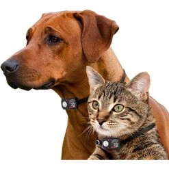 High Tech Pet Products SB-1 Sound Barrier Indoor Sonic Dog & Cat Fence System -PetSafe Shop Sale 242736 PT3. AC SS1800 V1594837906