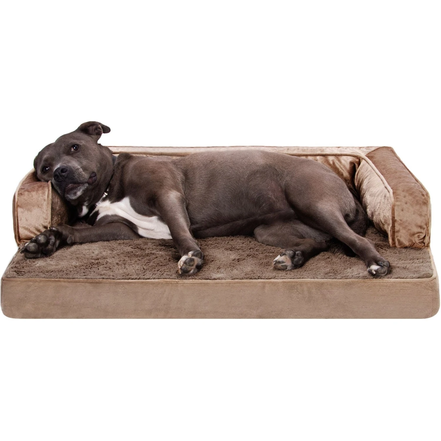 FurHaven Plush & Velvet Orthopedic Comfy Couch Dog & Cat Bed 5 FurHaven Plush & Velvet Orthopedic Comfy Couch Dog & Cat Bed - Image 5