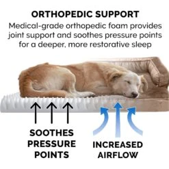 FurHaven Plush & Velvet Orthopedic Comfy Couch Dog & Cat Bed 16 FurHaven Plush & Velvet Orthopedic Comfy Couch Dog & Cat Bed -PetSafe Shop Sale 244395 PT7. AC SS1800 V1669921815