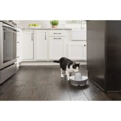 PetSafe Creekside Quiet Dog & Cat Fountain, 60-oz -PetSafe Shop Sale 247077 PT6. AC SS1800 V1596740182