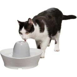 PetSafe Creekside Quiet Dog & Cat Fountain, 60-oz -PetSafe Shop Sale 247077 PT7. AC SS1800 V1608081821