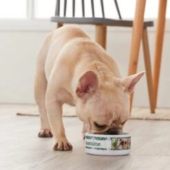 Frisco Boho Damask Ceramic Personalized Dog & Cat Bowl -PetSafe Shop Sale 250833 PT3. AC SS1800 V1610758070