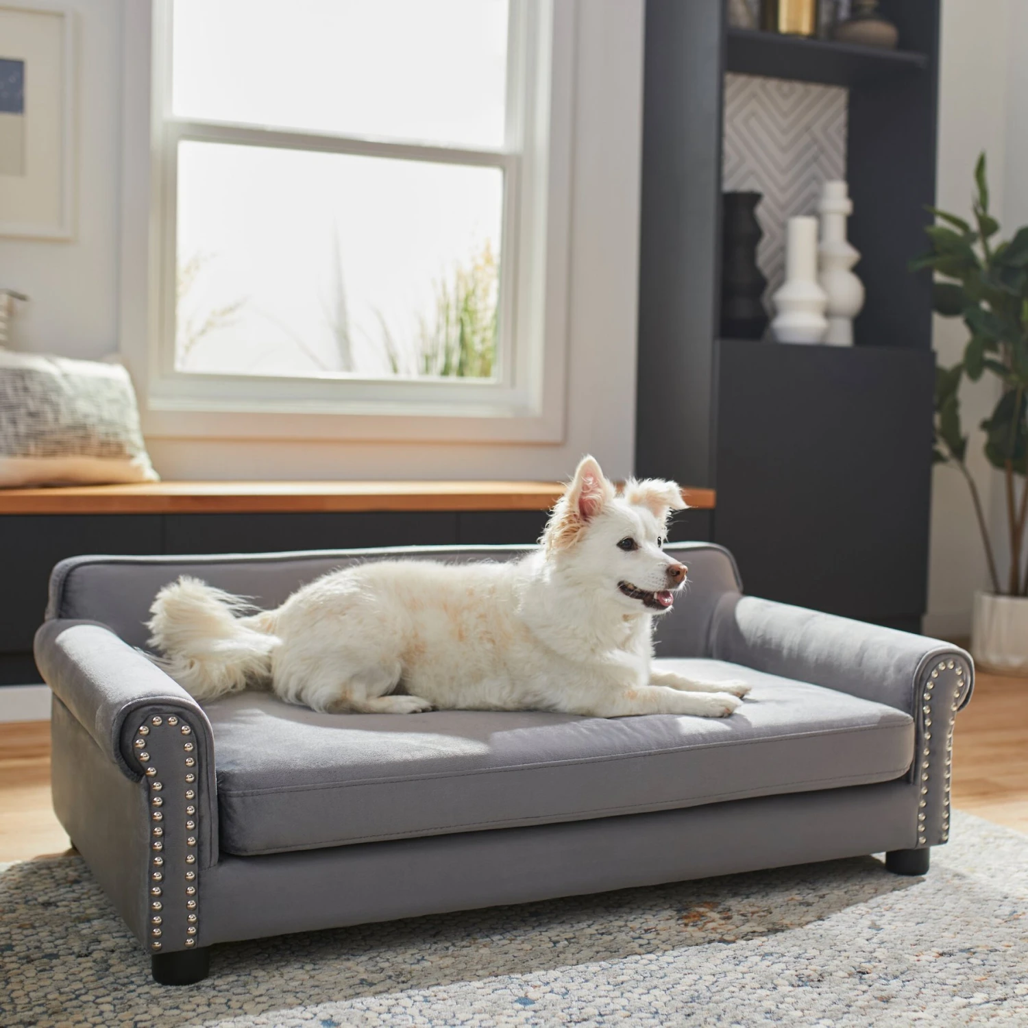 Frisco Sofa Pet Bed With Removable Cover 1 Frisco Sofa Pet Bed With Removable Cover