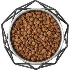 Frisco Elevated Stainless Steel Dog & Cat Bowl With Metal Stand 13 Frisco Elevated Stainless Steel Dog & Cat Bowl With Metal Stand -PetSafe Shop Sale 253055 PT5. AC SS1800 V1616595387