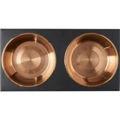 Frisco Copper Stainless Steel Elevated Foldable Double Dog & Cat Bowls -PetSafe Shop Sale 253060 PT4. AC SS1800 V1616595727