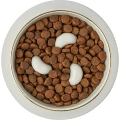 Frisco Melamine Slow Feed Dog & Cat Bowl With Gold Trim -PetSafe Shop Sale 253066 PT5. AC SS1800 V1616597830