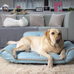 K1 Pet Design Stark Sofa Dog Bed -PetSafe Shop Sale 254149 PT6. AC SS1800 V1602723974