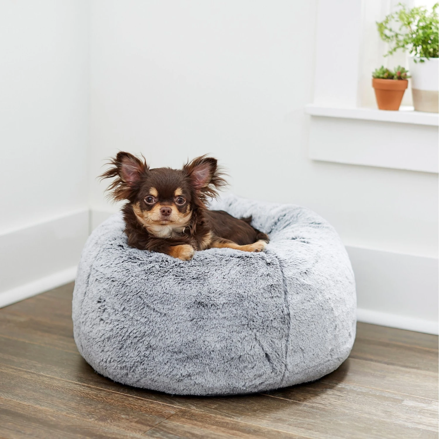 Frisco Plush Pouf Pillow Cat & Dog Bed 1 Frisco Plush Pouf Pillow Cat & Dog Bed