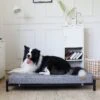 KOPEKS Orthopedic Elevated Bolster Dog Bed With Removable Cover