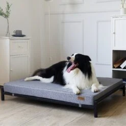 KOPEKS Orthopedic Elevated Bolster Dog Bed With Removable Cover -PetSafe Shop Sale 255295 PT4. AC SS1800 V1602124297