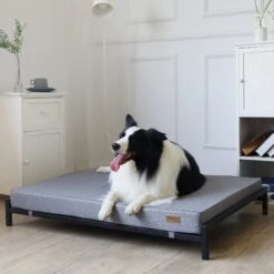 KOPEKS Orthopedic Elevated Bolster Dog Bed With Removable Cover -PetSafe Shop Sale 255295 PT5. AC SS1800 V1602119465