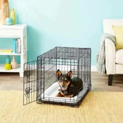 Frisco Fold & Carry Single Door Collapsible Wire Dog Crate & Frisco Quilted Dog Crate Mat -PetSafe Shop Sale 255493 PT2. AC SS1800 V1603545085