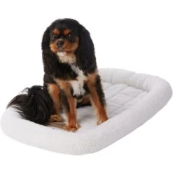 Frisco Fold & Carry Single Door Collapsible Wire Dog Crate & Frisco Quilted Dog Crate Mat -PetSafe Shop Sale 255493 PT4. AC SS1800 V1603545111