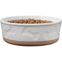 Frisco Bones Non-skid Ceramic Dog & Cat Bowl -PetSafe Shop Sale 256074 PT3. AC SS1800 V1615313594