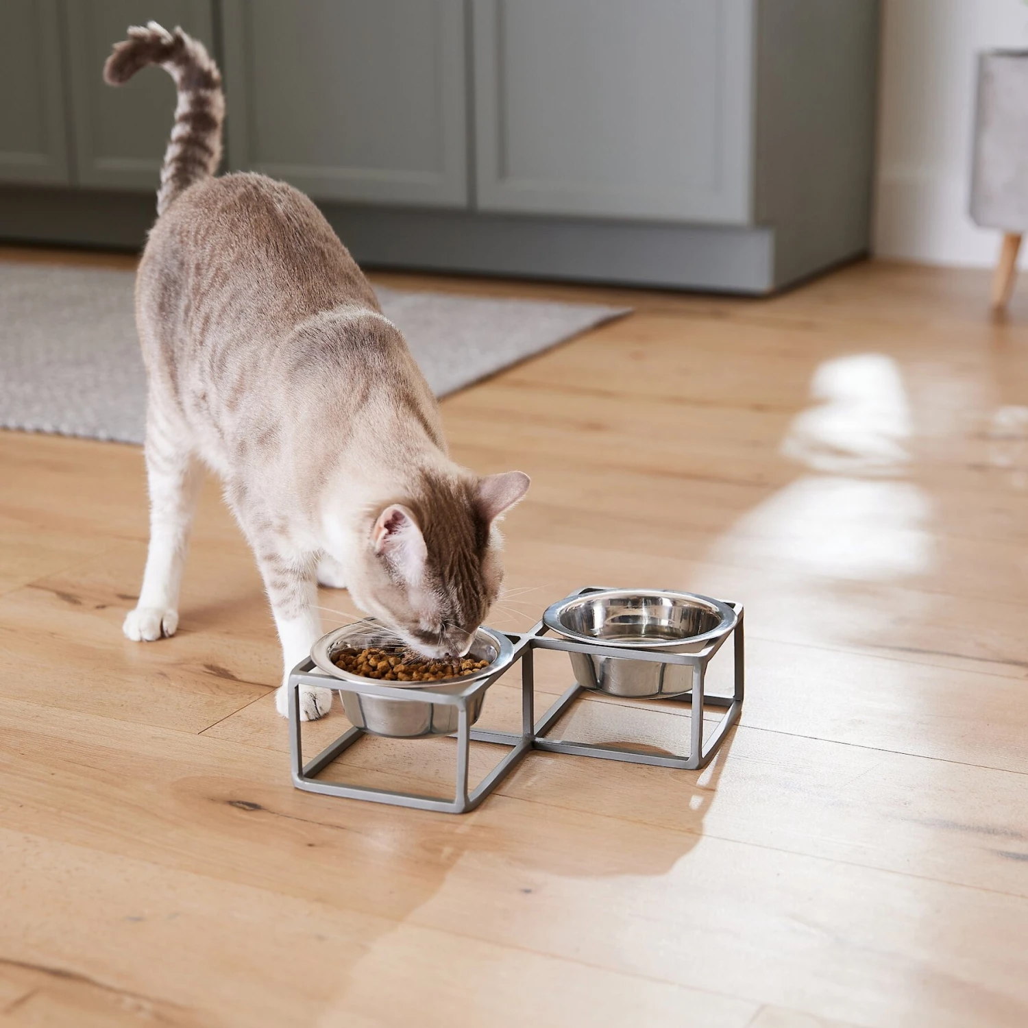 Frisco Elevated Diamond Stainless Steel Double Diner Dog & Cat Bowl 6 Frisco Elevated Diamond Stainless Steel Double Diner Dog & Cat Bowl - Image 6