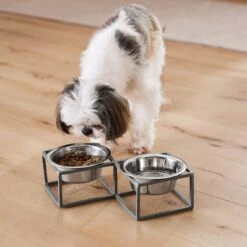 Frisco Elevated Diamond Stainless Steel Double Diner Dog & Cat Bowl 13 Frisco Elevated Diamond Stainless Steel Double Diner Dog & Cat Bowl -PetSafe Shop Sale 257147 PT8. AC SS1800 V1615840442