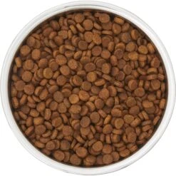 Frisco Insulated Two-Toned Non-Skid Stainless Steel Dog & Cat Bowl -PetSafe Shop Sale 257168 PT4. AC SS1800 V1612367255