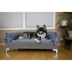 New Age Pet ECOFLEX Manhattan Raised Dog & Cat Bed With Cushion -PetSafe Shop Sale 258197 PT7. AC SS1800 V1605225720