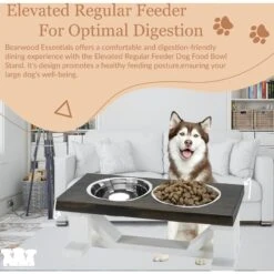 Bearwood Essentials Farmhouse Elevated Dog Feeder -PetSafe Shop Sale 258636 PT4. AC SS1800 V1698845986