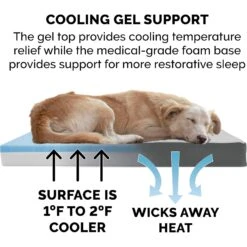 FurHaven Faux Sheepskin & Suede Cooling Gel Cat & Dog Bed With Removable Cover 15 FurHaven Faux Sheepskin & Suede Cooling Gel Cat & Dog Bed With Removable Cover -PetSafe Shop Sale 261665 PT6. AC SS1800 V1605652609