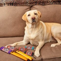 Furrfighters Furrniture Brush Pet Hair & Lint Removal Brush -PetSafe Shop Sale 262078 PT7. AC SS1800 V1648516590