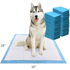 Four Paws Wee-Wee Odor Control X-Large Dog Pads With Febreze Freshness -PetSafe Shop Sale 266281 PT6. AC SS1800 V1685649234