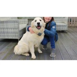 StayFence Pet Containment System Extra Receiver -PetSafe Shop Sale 270618 PT4. AC SS1800 V1623859349