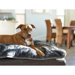 Pet Parents Pawtect Blanket Waterproof Premium Dog & Cat Blanket -PetSafe Shop Sale 271592 PT8. AC SS1800 V1695756533