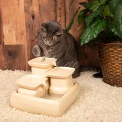 Miaustore Dog & Cat Ceramic Water Fountain, 115-oz -PetSafe Shop Sale 271771 PT3. AC SS1800 V1650010051