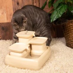 Miaustore Dog & Cat Ceramic Water Fountain, 115-oz -PetSafe Shop Sale 271771 PT4. AC SS1800 V1650008499
