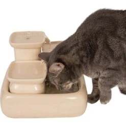 Miaustore Dog & Cat Ceramic Water Fountain, 115-oz -PetSafe Shop Sale 271771 PT5. AC SS1800 V1650014496