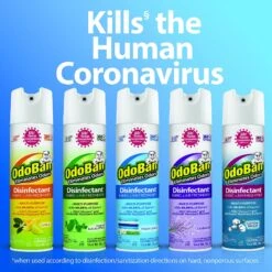 OdoBan Disinfectant Fabric & Air Freshener Eucalyptus Spray, 14.6-oz Bottle -PetSafe Shop Sale 272071 PT2. AC SS1800 V1639693313