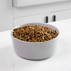 Waggo Simple Solid Ceramic Dog & Cat Bowl -PetSafe Shop Sale 277061 PT2. AC SS1800 V1697132261