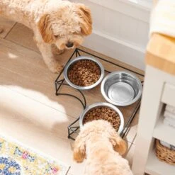 Frisco Multi Pet Feeding Corner 3-Bowls Stainless Steel Dog & Cat Bowl 8 Frisco Multi Pet Feeding Corner 3-Bowls Stainless Steel Dog & Cat Bowl -PetSafe Shop Sale 277561 PT2. AC SS1800 V1630346973