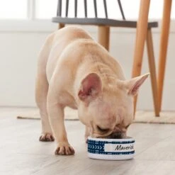 Frisco Personalized Mudcloth Small Dog & Cat Bowl -PetSafe Shop Sale 278936 PT3. AC SS1800 V1629147692