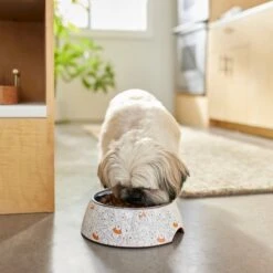 Disney Winnie The Pooh Non-Skid Stainless Steel With Melamine Stand Dog & Cat Bowl, Orange -PetSafe Shop Sale 280633 PT2. AC SS1800 V1629986748