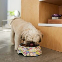 Pixar Toy Story Non-Skid Stainless Steel With Melamine Stand Dog & Cat Bowl 8 Pixar Toy Story Non-Skid Stainless Steel With Melamine Stand Dog & Cat Bowl -PetSafe Shop Sale 280641 PT2. AC SS1800 V1629986726