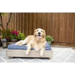 La-Z-Boy Bailey Indoor/Outdoor Sofa Dog Bed -PetSafe Shop Sale 280882 PT3. AC SS1800 V1616622387