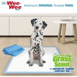 Four Paws Wee-Wee Ultimate Attractant Dog Pee Pads With Grass Scent 11 Four Paws Wee-Wee Ultimate Attractant Dog Pee Pads With Grass Scent -PetSafe Shop Sale 286422 PT3. AC SS1800 V1619836335
