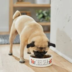 Frisco Flower Ceramic Personalized Dog Bowl -PetSafe Shop Sale 286985 PT2. AC SS1800 V1625764713