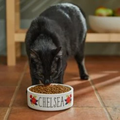 Frisco Flower Ceramic Personalized Dog Bowl -PetSafe Shop Sale 286985 PT3. AC SS1800 V1625764702