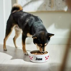 Frisco Hearts Ceramic Personalized Dog Bowl -PetSafe Shop Sale 286995 PT4. AC SS1800 V1639518111