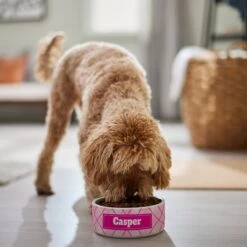 Frisco Personalized Plaid Ceramic Dog Bowl -PetSafe Shop Sale 287013 PT4. AC SS1800 V1639518088
