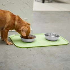 STAR WARS THE MANDALORIAN GROGU Snack Silicone Dog & Cat Food Mat -PetSafe Shop Sale 291448 PT2. AC SS1800 V1633979380